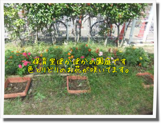 ぽかぽか保育園