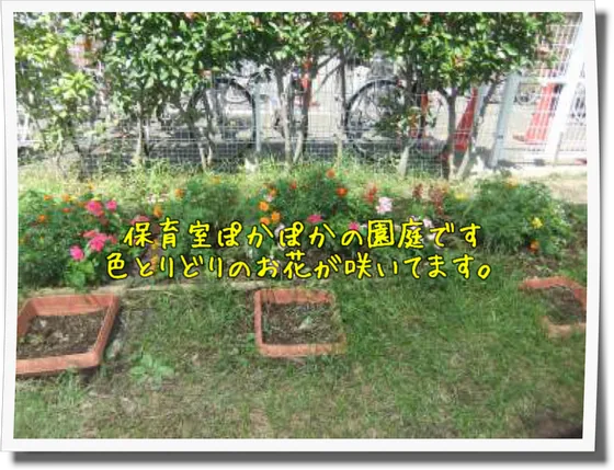 ぽかぽか保育園