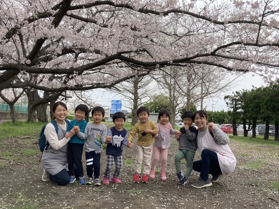 春の花びら